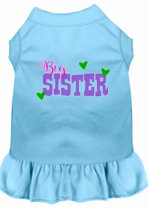 Big Sister Screen Print Dog Dress Baby Blue Xxl