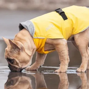 Chilly Dogs Harbour Slicker (Broad and Burly cut)